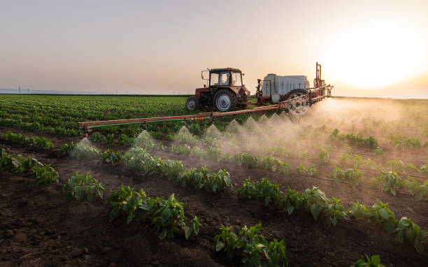 Best Pest Removal Services  in Eldersburg, MD