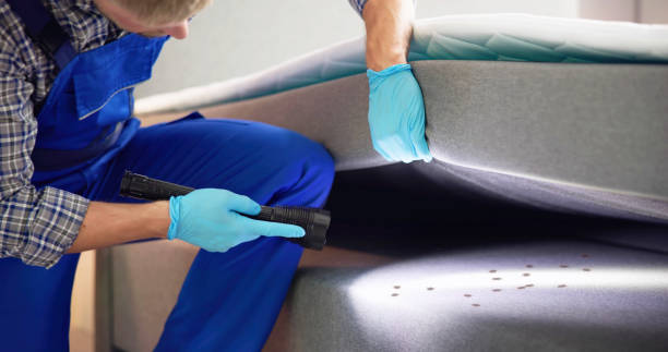 Best Flea Control Services  in Eldersburg, MD