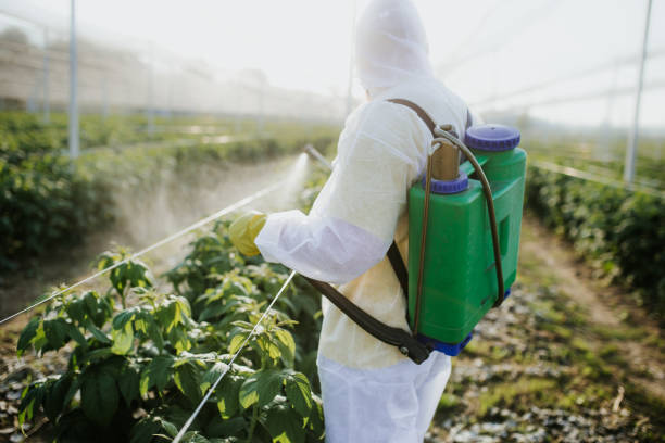 Best Pest Control for Businesses  in Eldersburg, MD